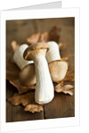 Fresh king oyster mushrooms on autumn leaves by Anonymous