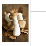 Fresh king oyster mushrooms on autumn leaves by Anonymous