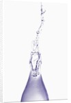 Liquid pouring out of water bottle by Anonymous