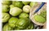 Napoles and Chayote at Market; Oaxaca Mexico by Anonymous