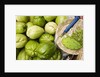 Napoles and Chayote at Market; Oaxaca Mexico by Anonymous