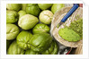 Napoles and Chayote at Market; Oaxaca Mexico by Anonymous