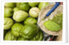 Napoles and Chayote at Market; Oaxaca Mexico by Anonymous