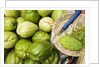 Napoles and Chayote at Market; Oaxaca Mexico by Anonymous