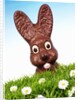 Chocolate Easter Bunny in Easter grass by Anonymous