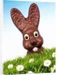 Chocolate Easter Bunny in Easter grass by Anonymous