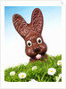 Chocolate Easter Bunny in Easter grass by Anonymous
