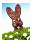 Chocolate Easter Bunny in Easter grass by Anonymous