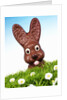 Chocolate Easter Bunny in Easter grass by Anonymous