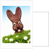 Chocolate Easter Bunny in Easter grass by Anonymous
