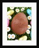 Chocolate Easter eggs in grass by Anonymous
