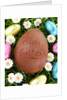 Chocolate Easter eggs in grass by Anonymous