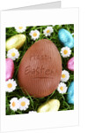Chocolate Easter eggs in grass by Anonymous