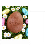 Chocolate Easter eggs in grass by Anonymous