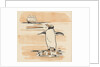 Illustration of penguin eating fish by Anonymous