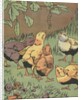 Illustration of chicks looking at caterpillar by Anonymous