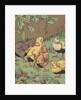 Illustration of chicks looking at caterpillar by Anonymous
