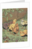 Illustration of chicks looking at caterpillar by Anonymous