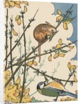 Illustration of mouse and bird feeding on branches by Anonymous