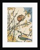Illustration of mouse and bird feeding on branches by Anonymous