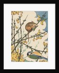 Illustration of mouse and bird feeding on branches by Anonymous