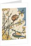 Illustration of mouse and bird feeding on branches by Anonymous