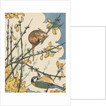 Illustration of mouse and bird feeding on branches by Anonymous