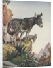 Illustration of donkeys in canyon by Anonymous