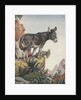 Illustration of donkeys in canyon by Anonymous