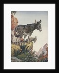 Illustration of donkeys in canyon by Anonymous