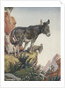 Illustration of donkeys in canyon by Anonymous