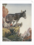 Illustration of donkeys in canyon by Anonymous
