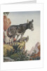 Illustration of donkeys in canyon by Anonymous