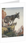 Illustration of donkeys in canyon by Anonymous