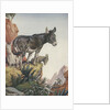 Illustration of donkeys in canyon by Anonymous