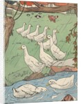 Illustration of white geese in rain by Anonymous