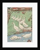 Illustration of white geese in rain by Anonymous