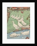 Illustration of white geese in rain by Anonymous