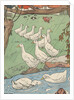 Illustration of white geese in rain by Anonymous