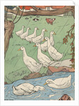 Illustration of white geese in rain by Anonymous