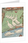 Illustration of white geese in rain by Anonymous