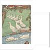 Illustration of white geese in rain by Anonymous