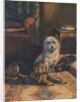 Illustration of dogs with slippers by Anonymous