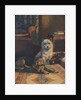 Illustration of dogs with slippers by Anonymous