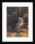 Illustration of dogs with slippers by Anonymous