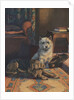Illustration of dogs with slippers by Anonymous