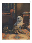Illustration of dogs with slippers by Anonymous