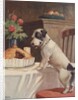 Illustration of dog eyeing pie on table by Anonymous
