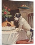 Illustration of dog eyeing pie on table by Anonymous