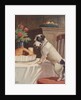 Illustration of dog eyeing pie on table by Anonymous
